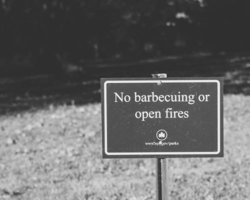 Culpa vs. Responsabilidad