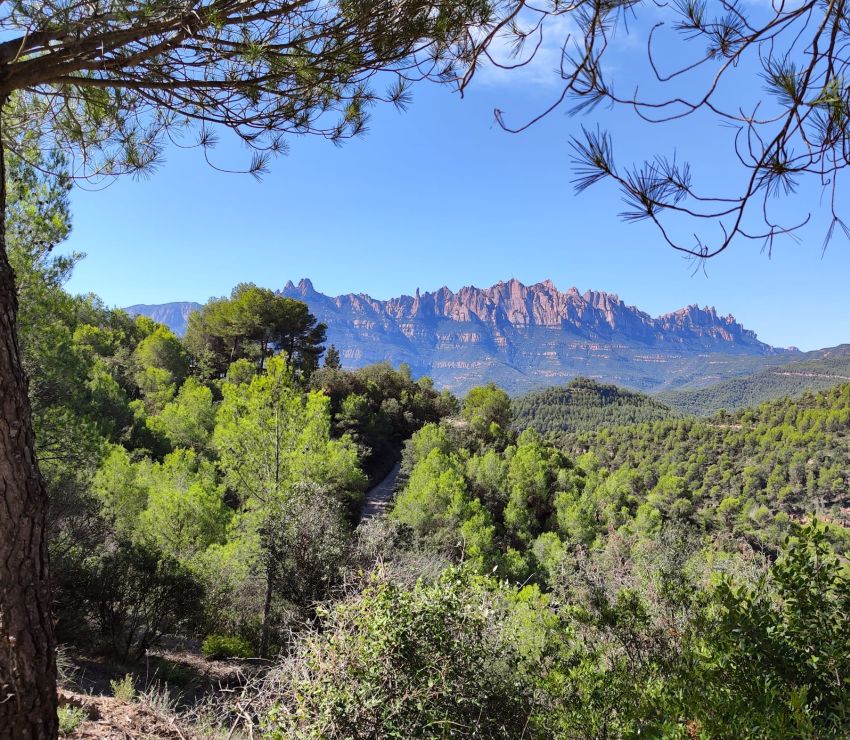 Retiro de oto&ntilde;o Montserrat