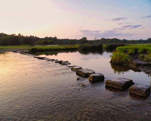 El sufrimiento innecesario